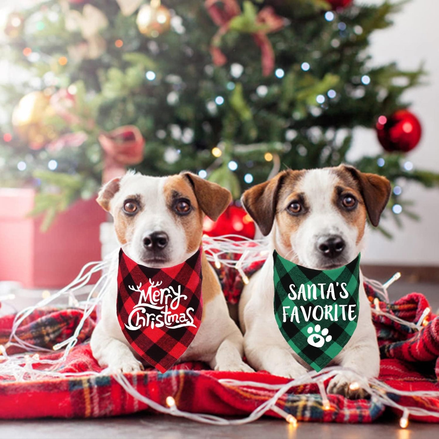 Holiday Plaid Dog Bandanas, 6 Pack Halloween Thanksgiving Christmas Dog Puppy Costume Decorations