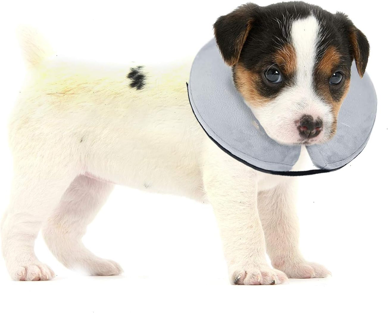 Protective Inflatable Collar for Dogs and Cats - Soft Pet Recovery Collar Does Not Block Vision E-Collar(X-Small,Blue)