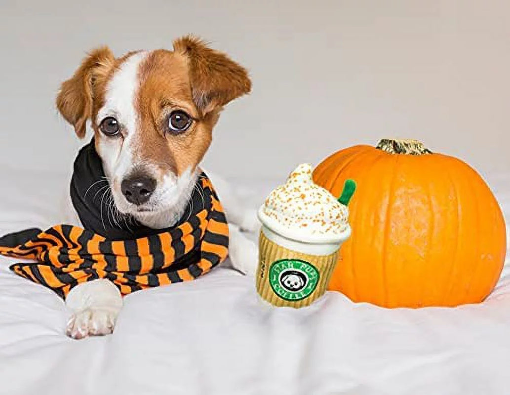 Star Pups Coffee Dog Toy Pup'Kin Spice Latte