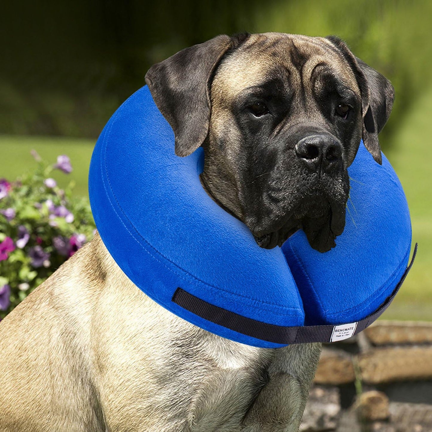 Protective Inflatable Collar for Dogs and Cats - Soft Pet Recovery Collar Does Not Block Vision E-Collar(X-Small,Blue)
