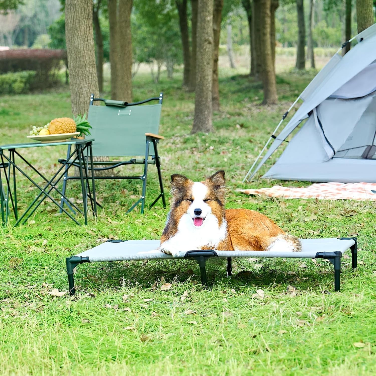 Elevated Dog Cot Beds for Large Dogs, Raised Outdoor Dog Bed with Frame, Washable Breathable Cooling Teslin Mesh and Anti-Slip Feet, Lifted Hammock Indoor Pet Bed, 44 Inches