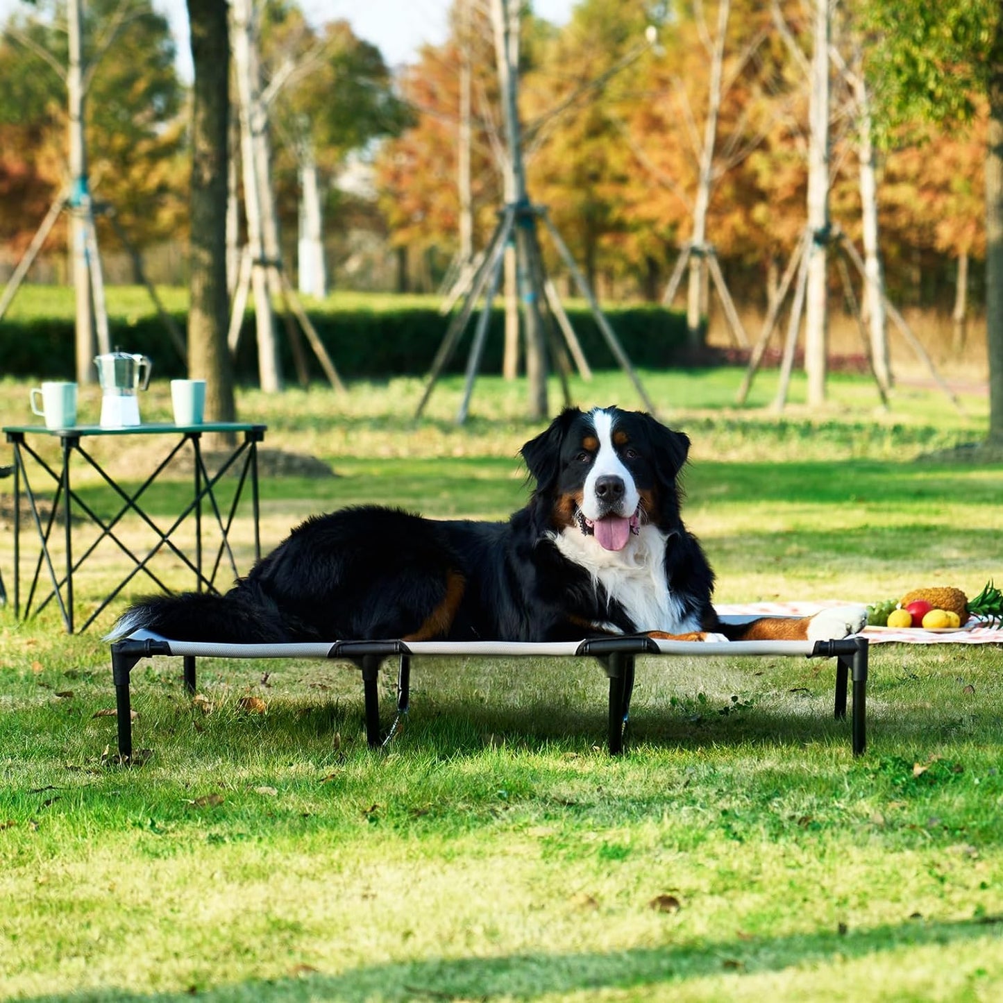 Elevated Dog Cot Beds for Large Dogs, Raised Outdoor Dog Bed with Frame, Washable Breathable Cooling Teslin Mesh and Anti-Slip Feet, Lifted Hammock Indoor Pet Bed, 44 Inches