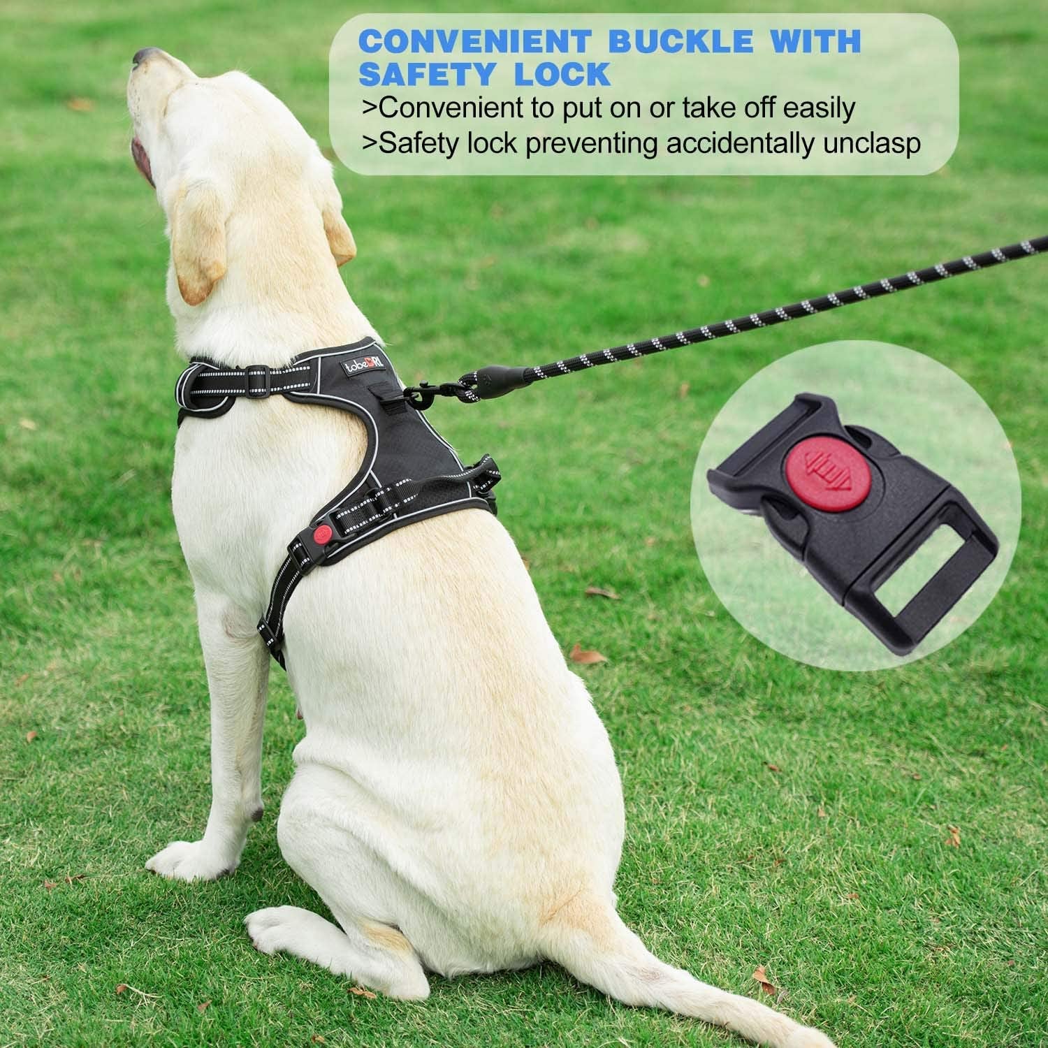 No Pull Dog Harness Adjustable Reflective Oxford Easy Control Medium Large Dog Harness with a Free Heavy Duty 5Ft Dog Leash (S (Neck: 13"-18", Chest: 17.5"-22"), Blue Harness+Leash)