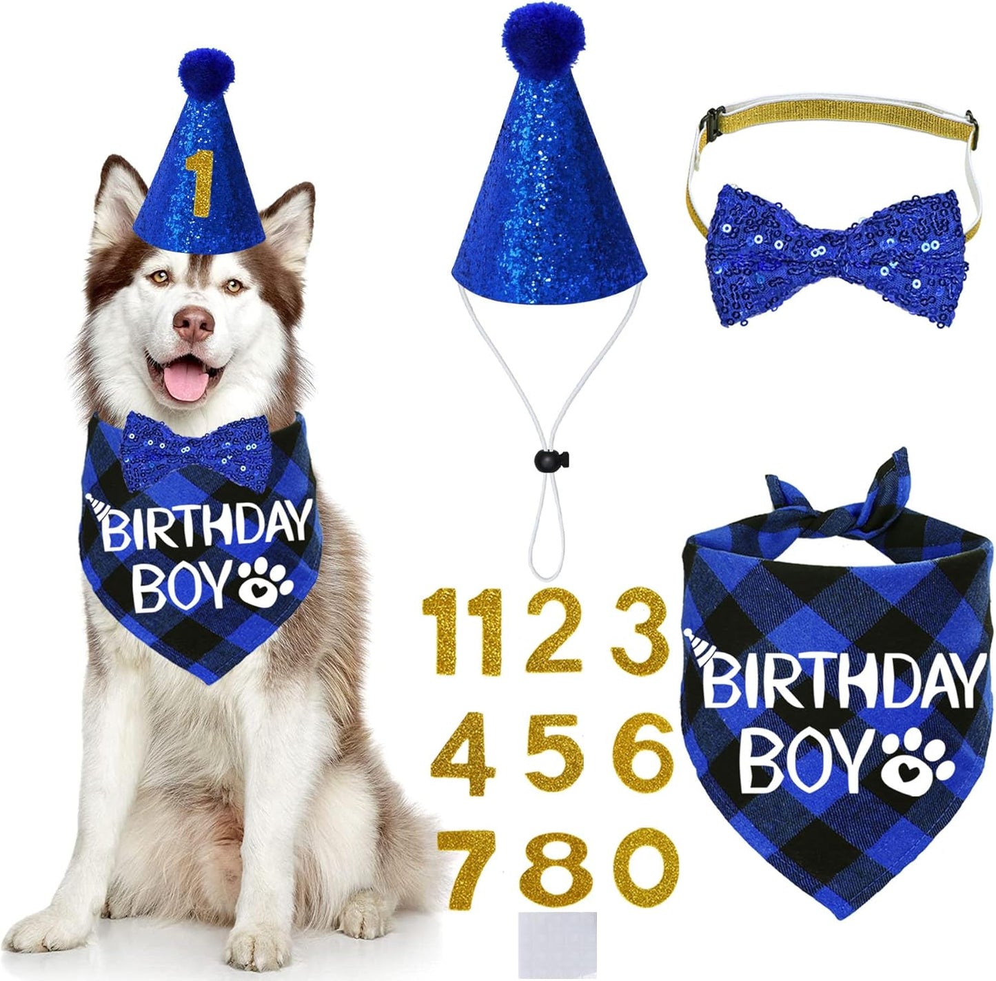 Dog Birthday Party Supplies, X-Large, Blue - Includes Hat, Bandana, Bow Tie, Numbers & Glue Points