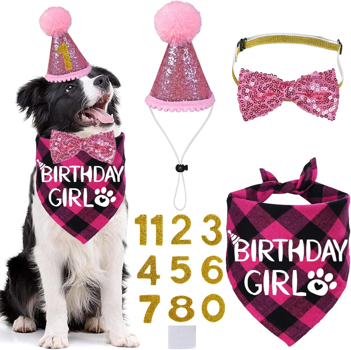 Dog Birthday Party Supplies, X-Large, Blue - Includes Hat, Bandana, Bow Tie, Numbers & Glue Points