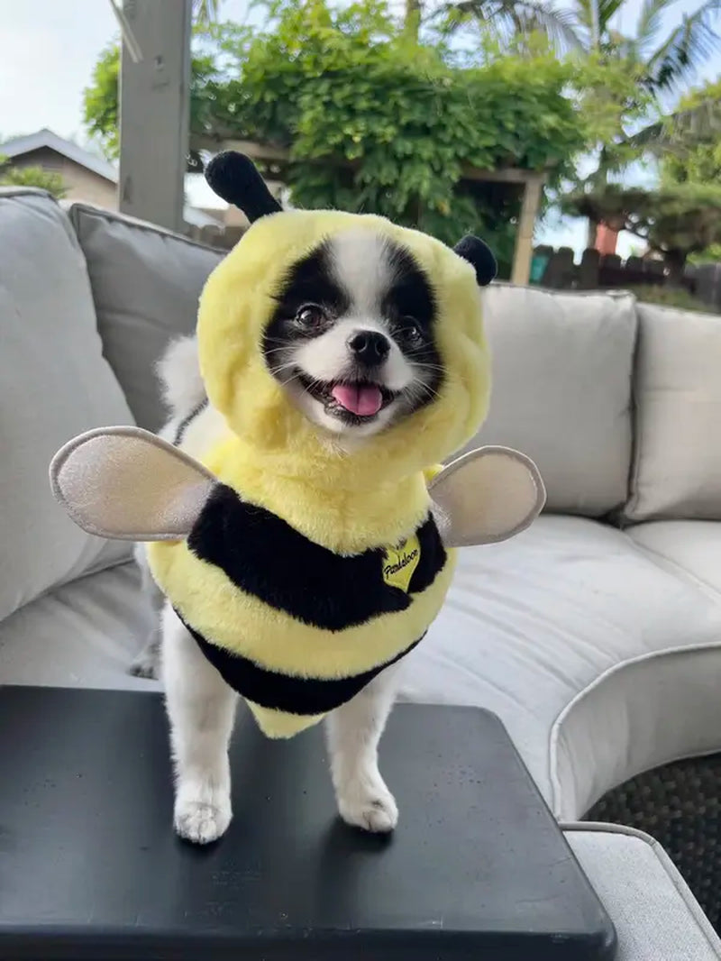 Pandaloon Bumblebee Pet Costume