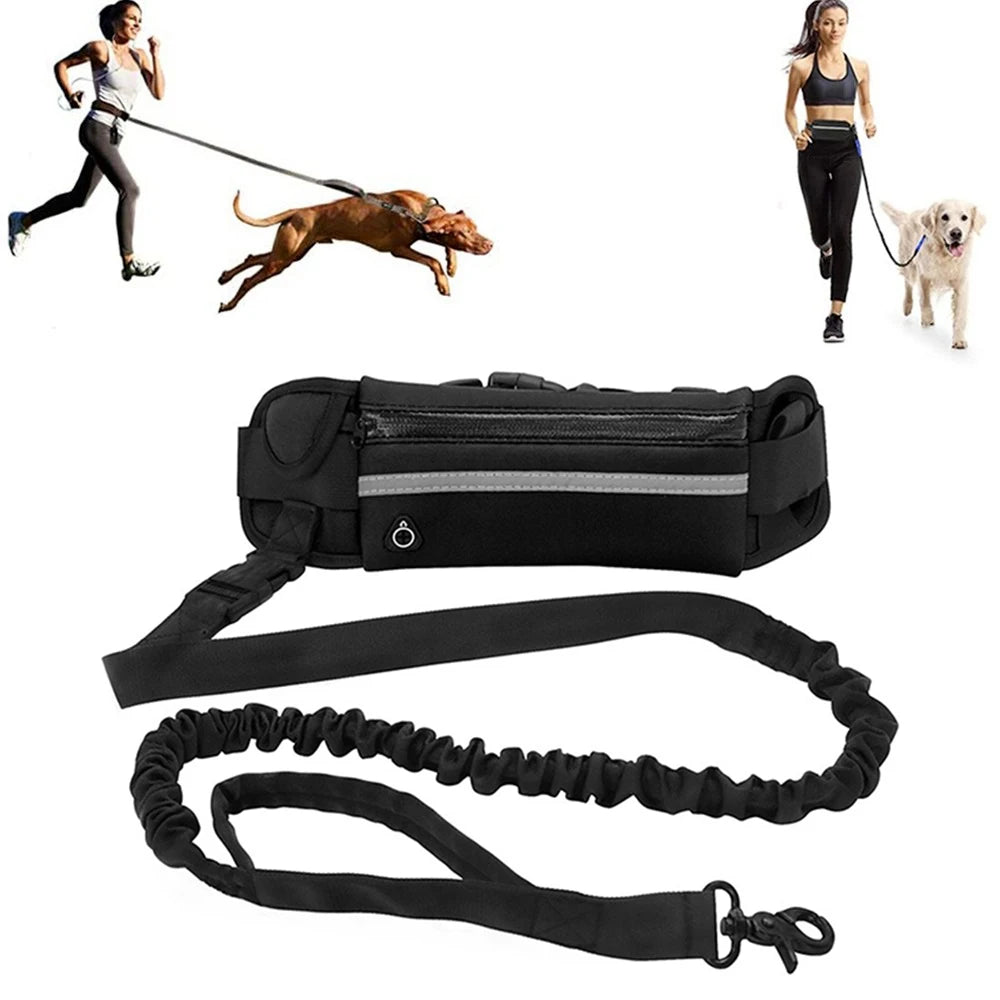 Hands Free Dog Leash for Running Walking Reflective Leash with Waist Bag Retractable Elastic Belt Dog Traction Rope Pet Products