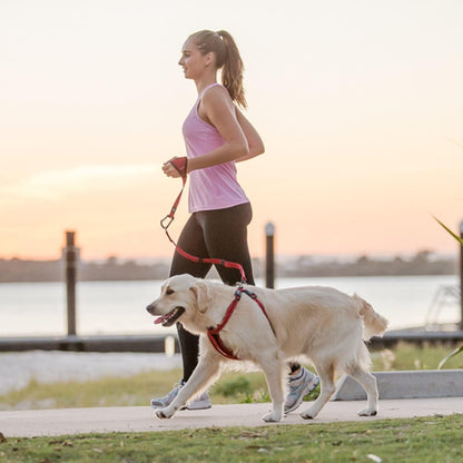 Premium Handy Dog Leash - Soft and Secure Neoprene Glove Perfect for Running or Jogging - Add to Any Existing Leash or Combine with an Extension (15”, Black)