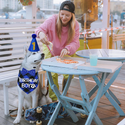 Dog Birthday Party Supplies, X-Large, Blue - Includes Hat, Bandana, Bow Tie, Numbers & Glue Points