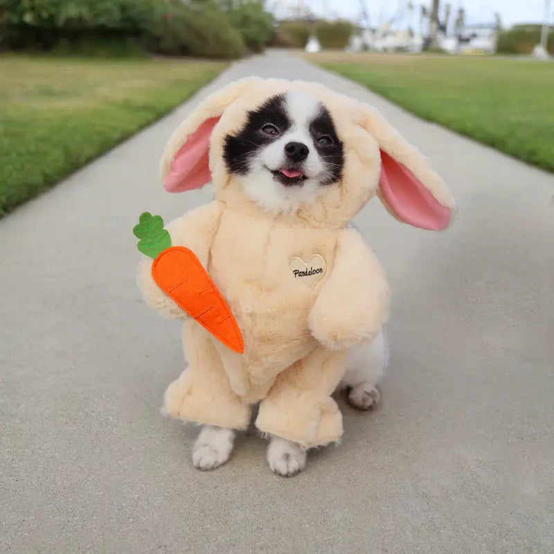 Pandaloon Bunny Pet Costume - as Seen on Shark Tank