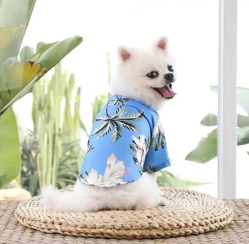 Blue Hawaiian Shirt for Dog