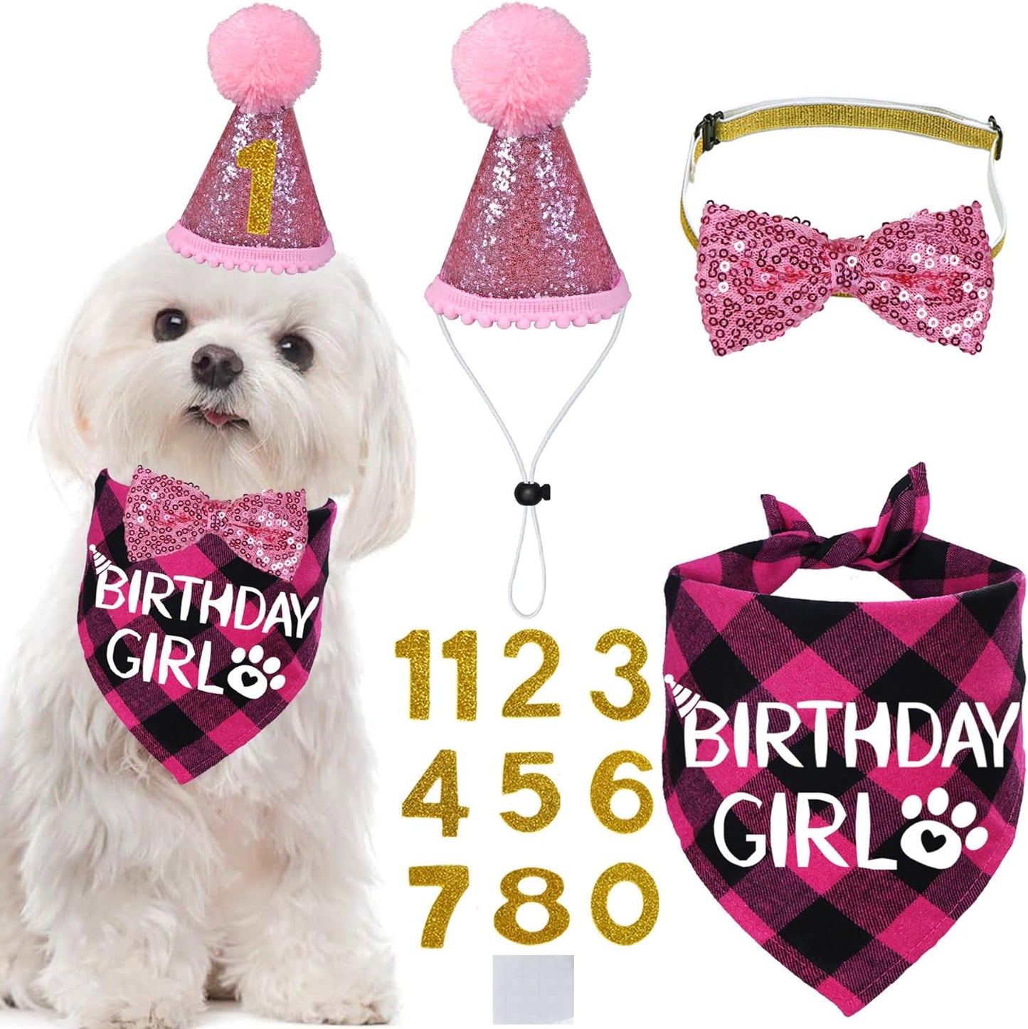 Dog Birthday Party Supplies, X-Large, Blue - Includes Hat, Bandana, Bow Tie, Numbers & Glue Points