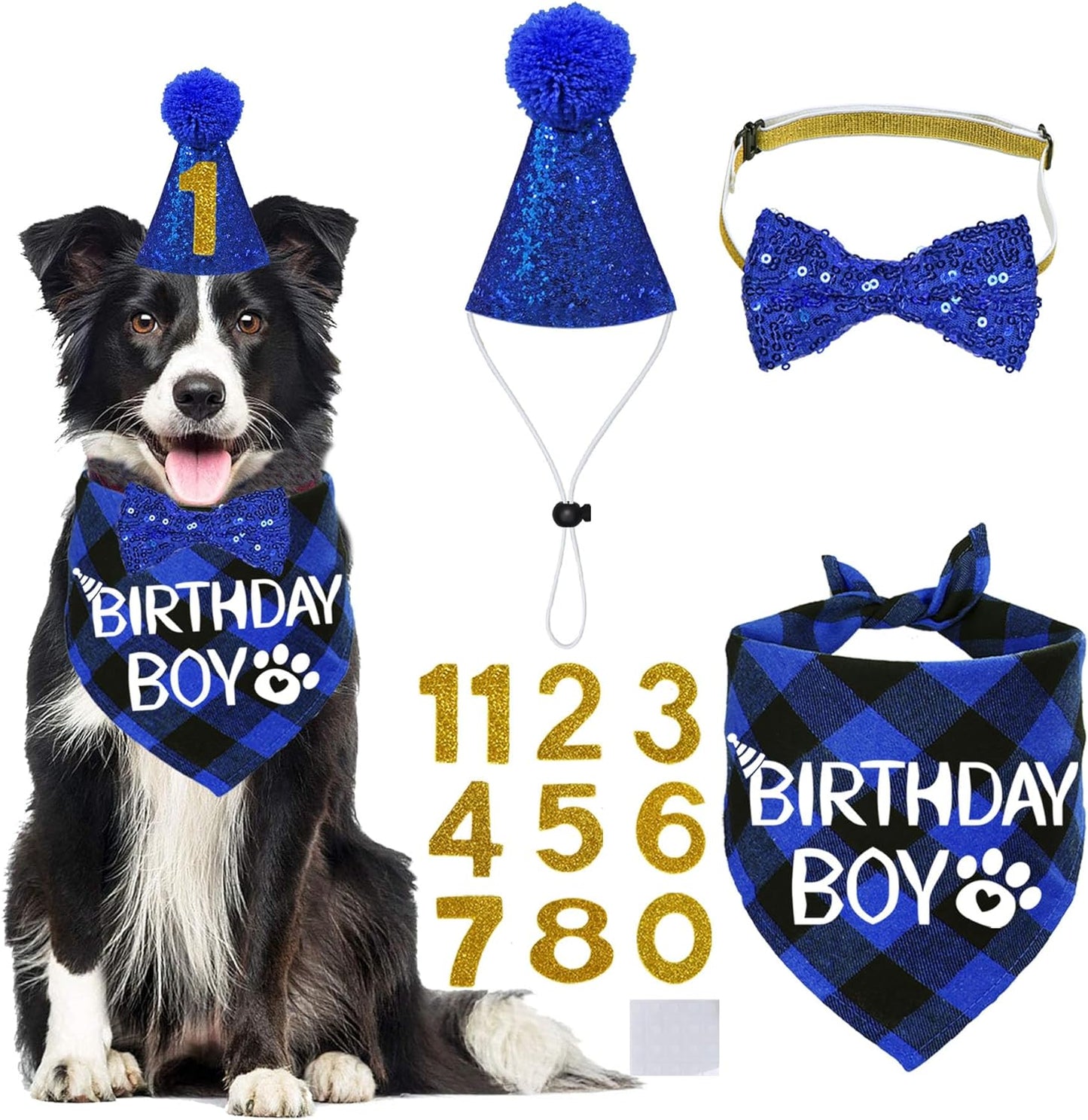 Dog Birthday Party Supplies, X-Large, Blue - Includes Hat, Bandana, Bow Tie, Numbers & Glue Points