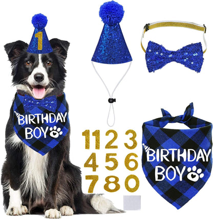 Dog Birthday Party Supplies, X-Large, Blue - Includes Hat, Bandana, Bow Tie, Numbers & Glue Points