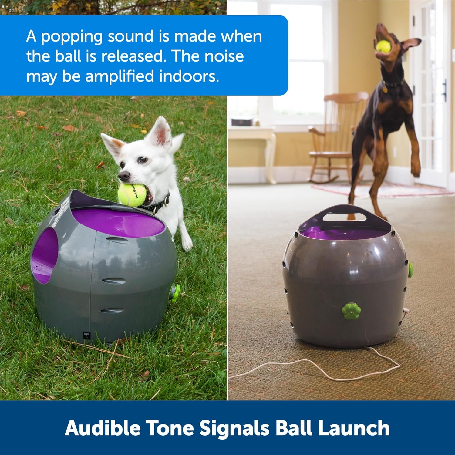 Automatic Ball Launcher - Interactive Dog Toy for Enrichment - Tennis Balls Included - Motion Sensor Promotes Safe Play - Indoor & Outdoor - Adjustable Range - A/C Adaptor or Batteries