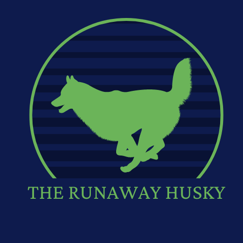 The Runaway Husky