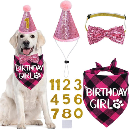 Dog Birthday Party Supplies, X-Large, Blue - Includes Hat, Bandana, Bow Tie, Numbers & Glue Points