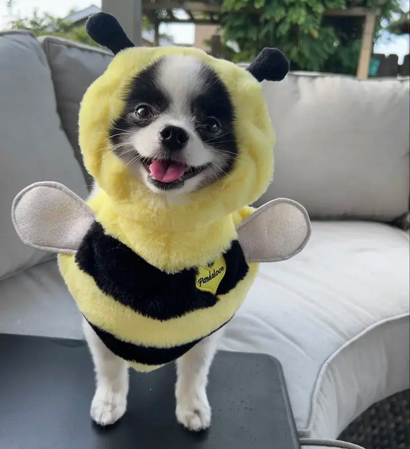 Pandaloon Bumblebee Pet Costume