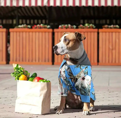 Blue Hawaiian Shirt for Dog