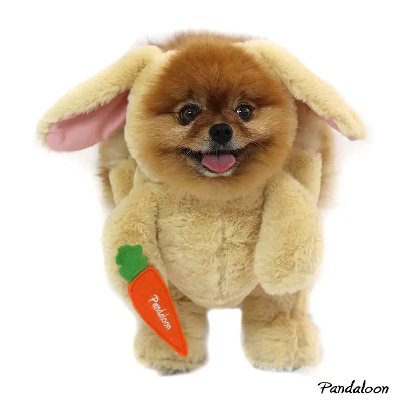 Pandaloon Bunny Pet Costume - as Seen on Shark Tank