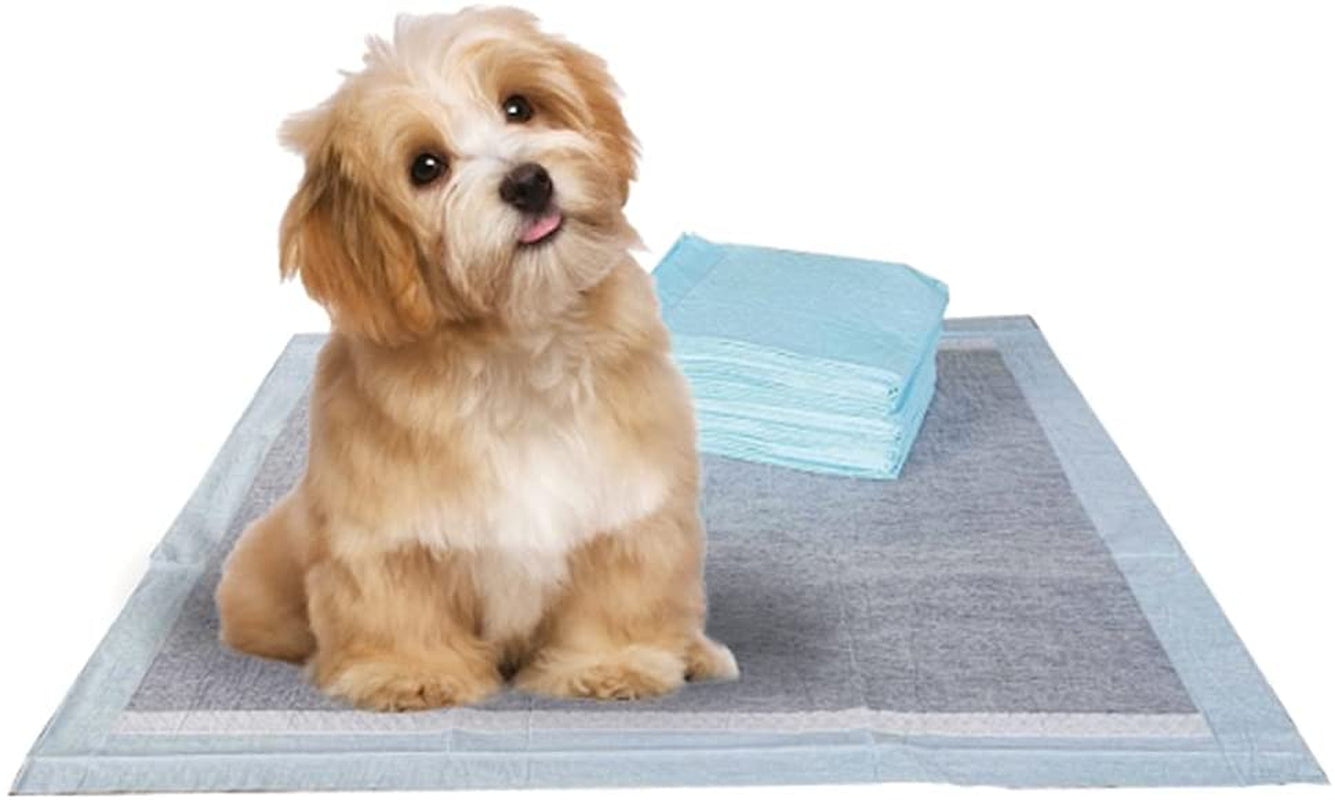 Puppy Pads Leak-Proof 50 Count 22"X 22" | Pee Pads for Dogs Quick Absorb 6-Layer- Dog Pee Pads- Dog Pads 50 Pack- Potty Pads for Dogs- Puppy Pee Pads, Pee Pad Training Pads for Dogs, Pet Pee Pads