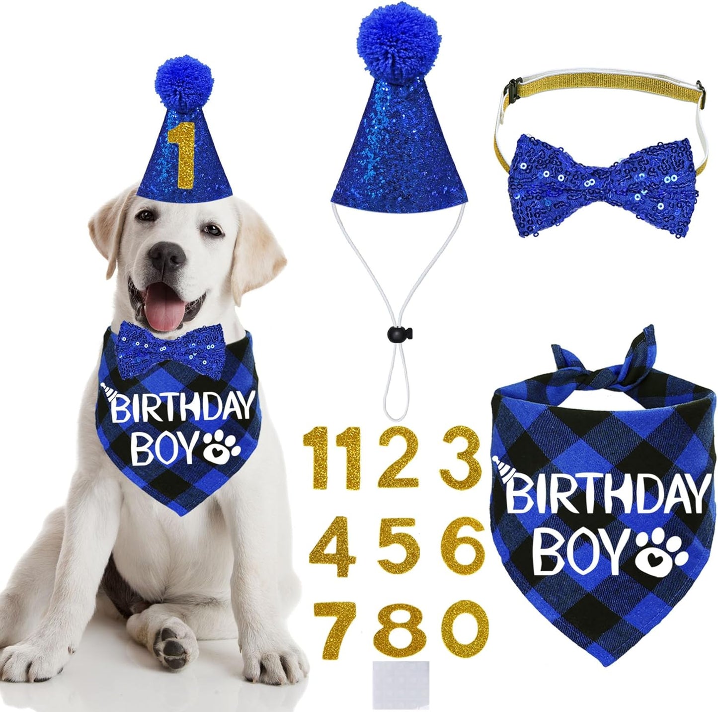 Dog Birthday Party Supplies, X-Large, Blue - Includes Hat, Bandana, Bow Tie, Numbers & Glue Points