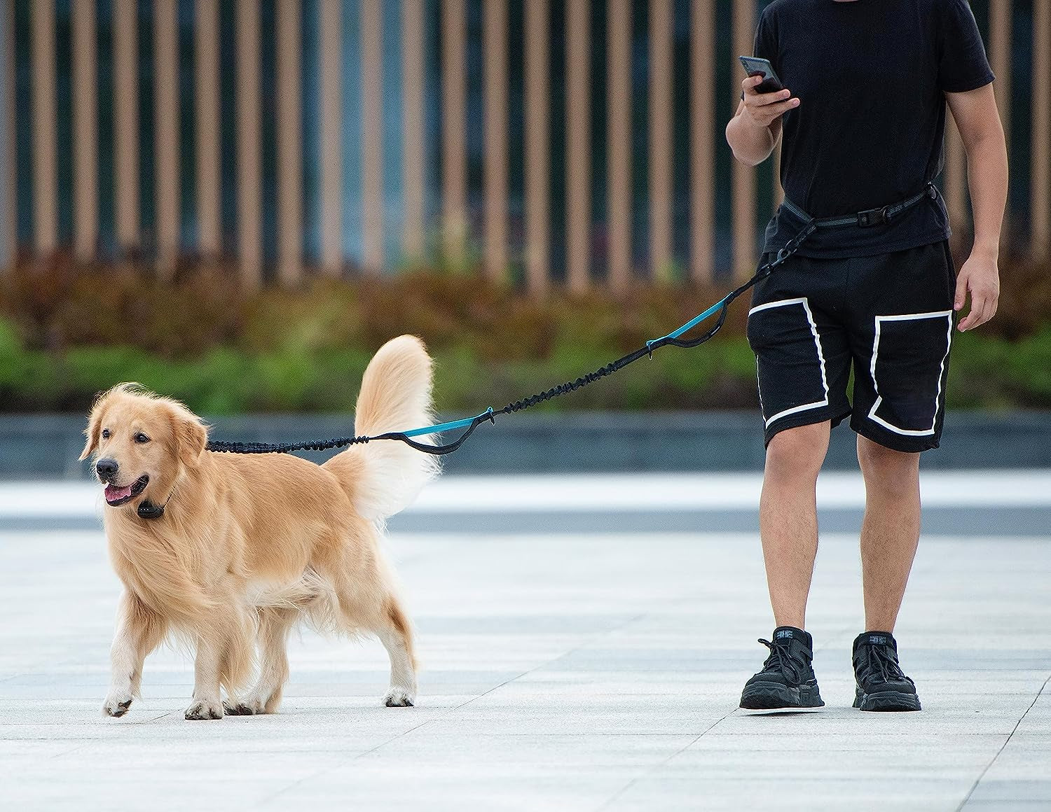 Hands Free Dog Leash with Zipper Pouch, Dual Padded Handles and Durable Bungee for Walking, Jogging and Running Your Dog (Medium, 8-25 Lbs, Black)