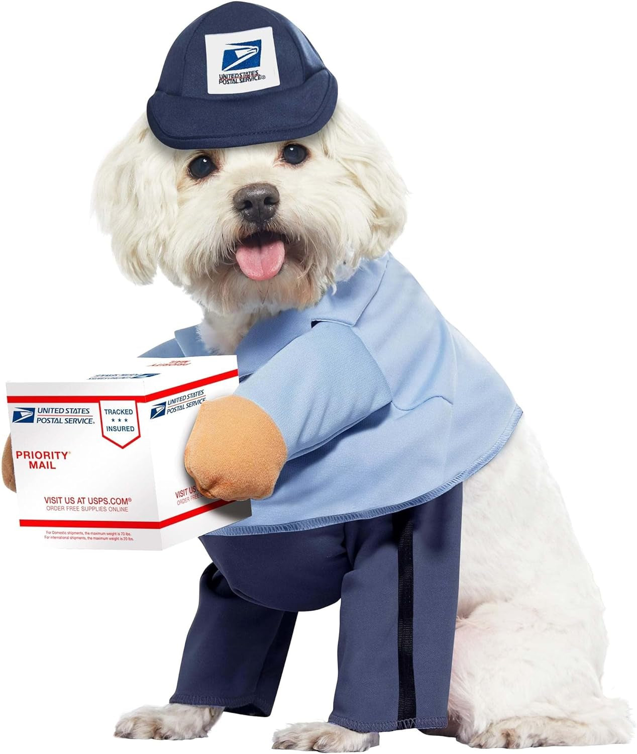 Dog Mail Carrier Costume USPS Small Blue